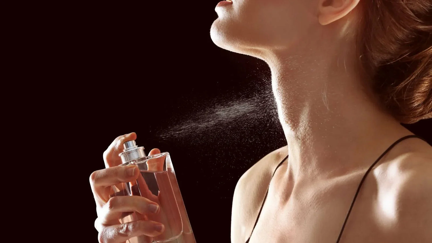Fragrance Favorites